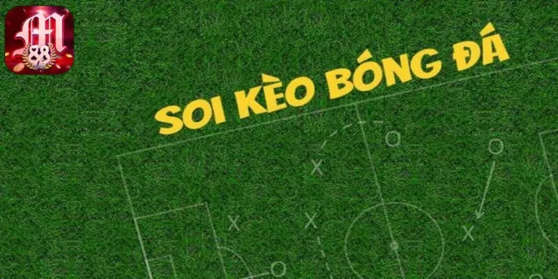 Soi kèo chính xác