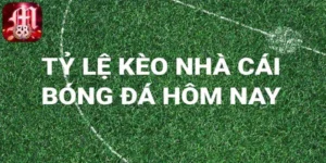 tỷ lệ kèo hôm nay