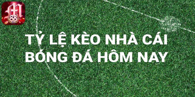 tỷ lệ kèo hôm nay