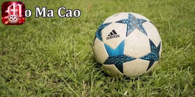 tỷ lệ kèo Macao