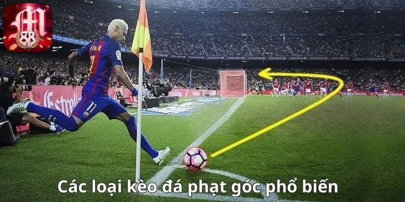 tỷ lệ kèo phạt góc