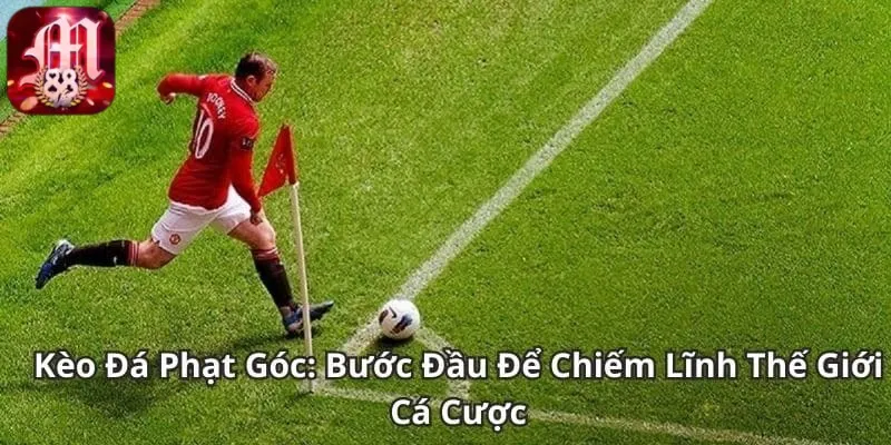 tỷ lệ kèo phạt góc